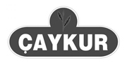 Çaykur